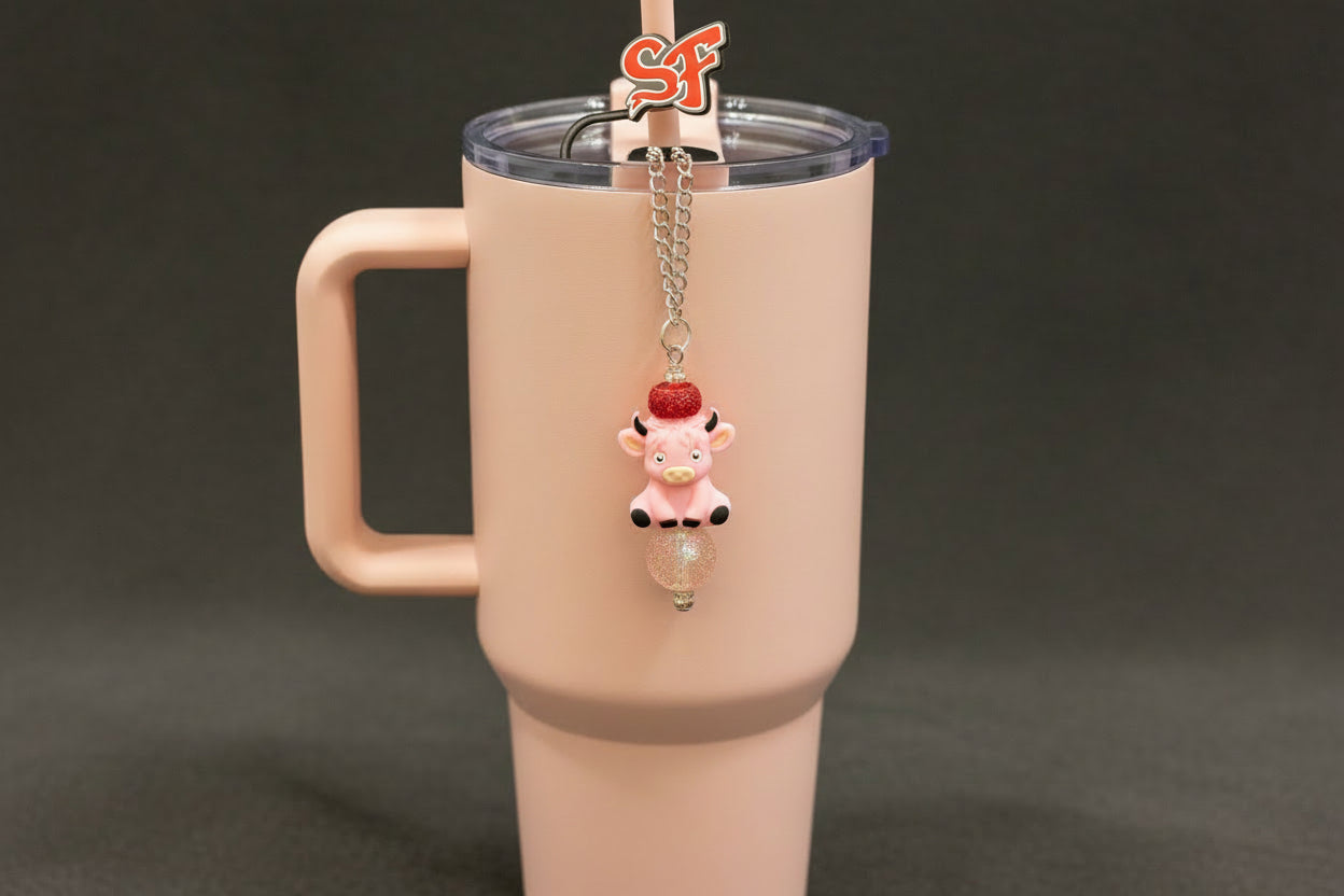 WATER BOTTLE ACCESSORY SET