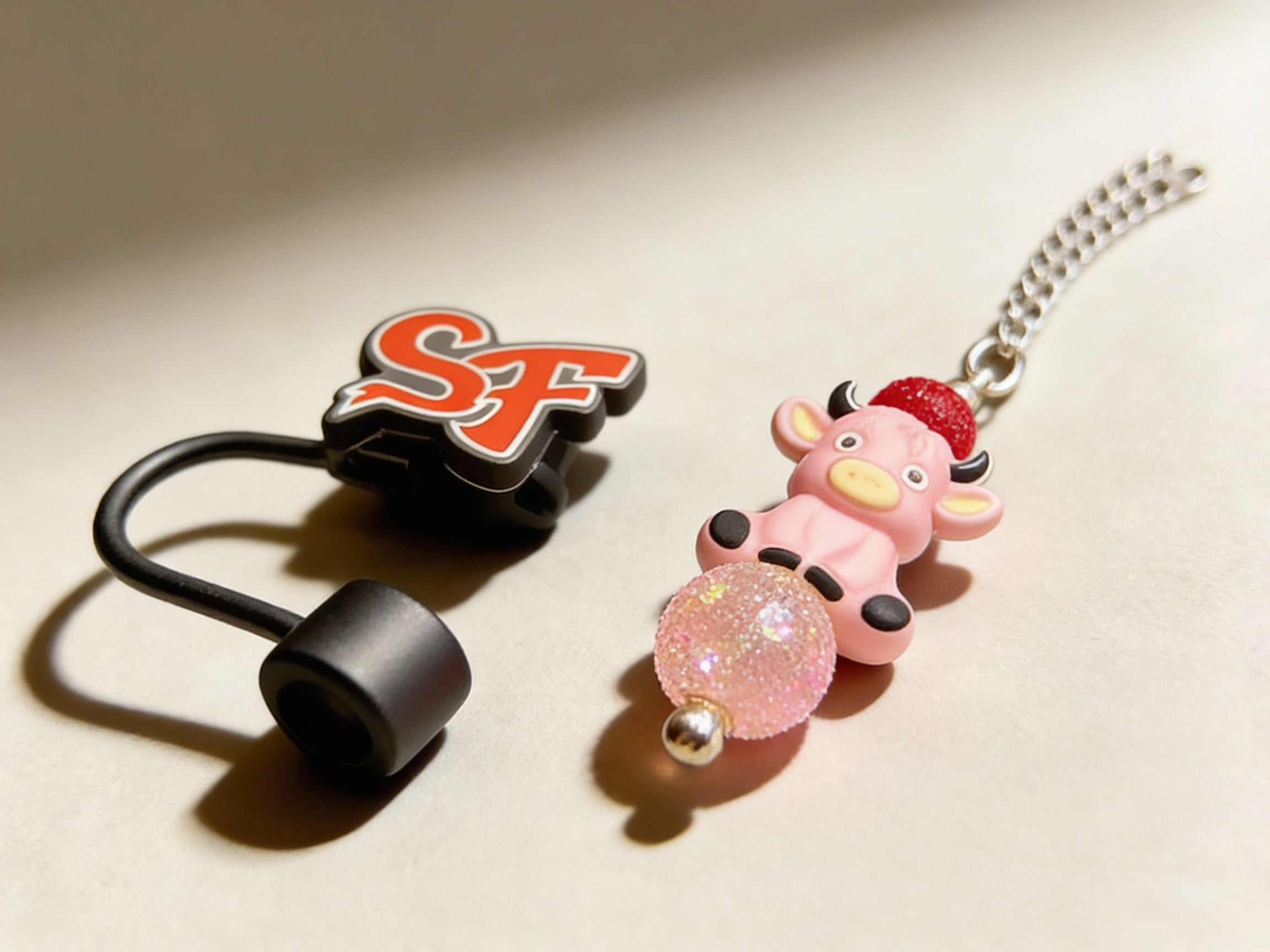 WATER BOTTLE ACCESSORY SET